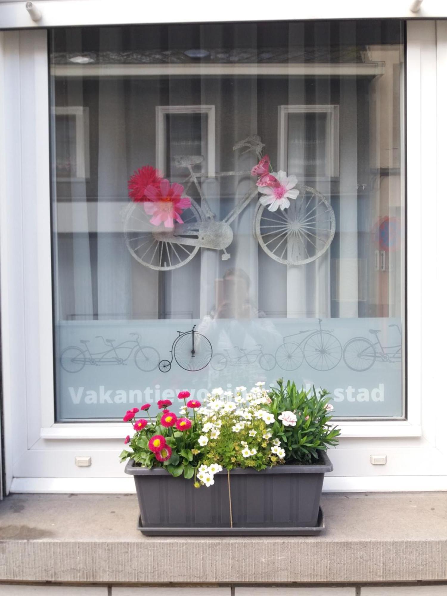 Velocipede Oudenaarde Vakantieverblijf 6 Pers (Adults Only) Kültér fotó
