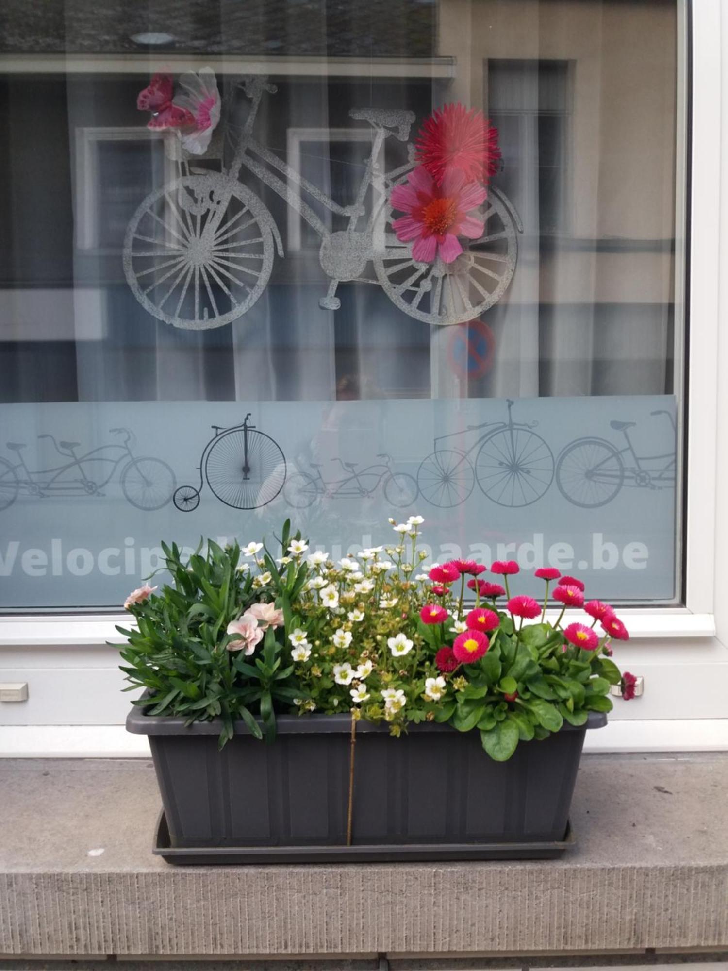 Velocipede Oudenaarde Vakantieverblijf 6 Pers (Adults Only) Kültér fotó
